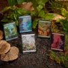 Magic the Gathering: Bloomburrow Bundle - Image 7