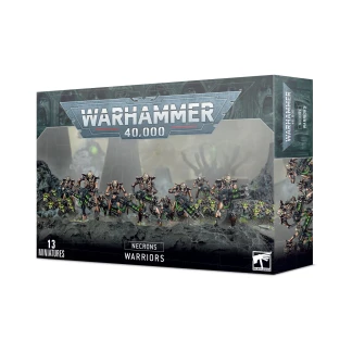 Warhammer 40K: Necrons Necron Warriors