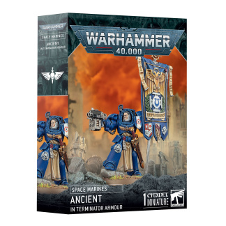 Warhammer 40K: Space Marines Ancient In Terminator Armour