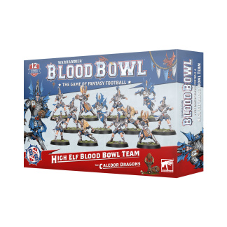 Warhammer: Blood Bowl - High Elf Blood Bowl Team